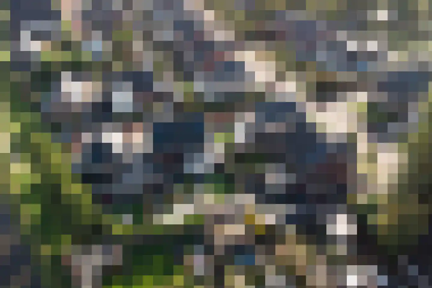 Nijreesweg 10 Almelo thumbnail 30