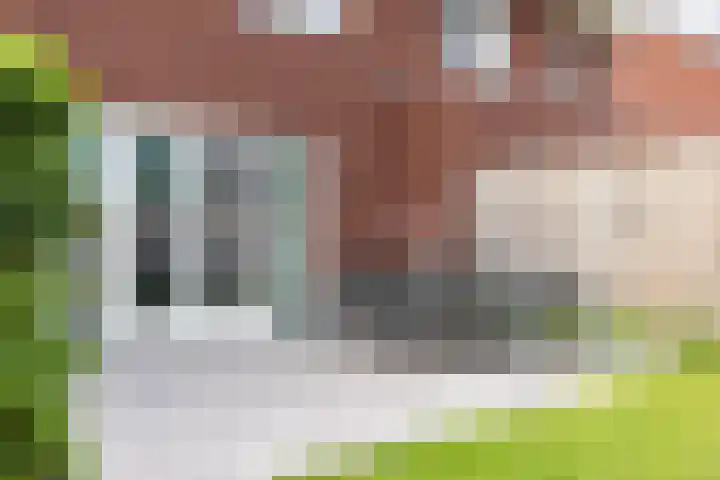 Nijreesweg 34 Almelo thumbnail 25