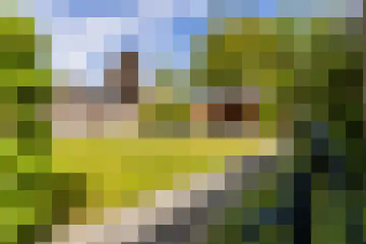 Nijreesweg 34 Almelo thumbnail 31
