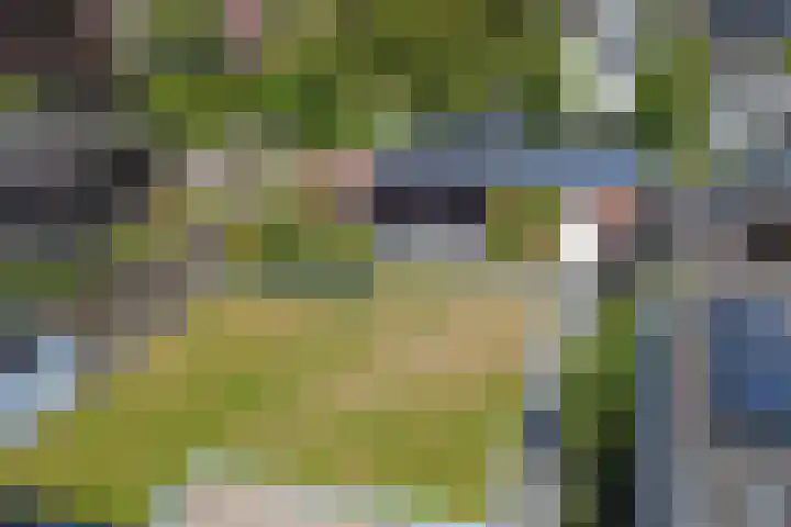 Nijreesweg 34 Almelo thumbnail 32