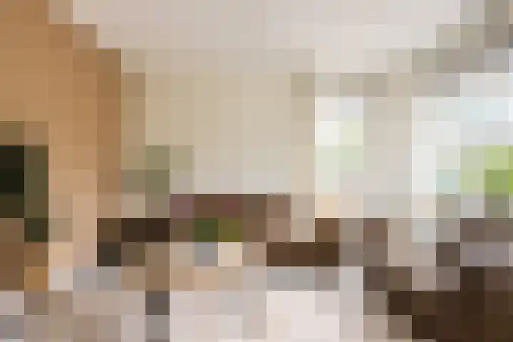 Nijreesweg 34 Almelo thumbnail 9