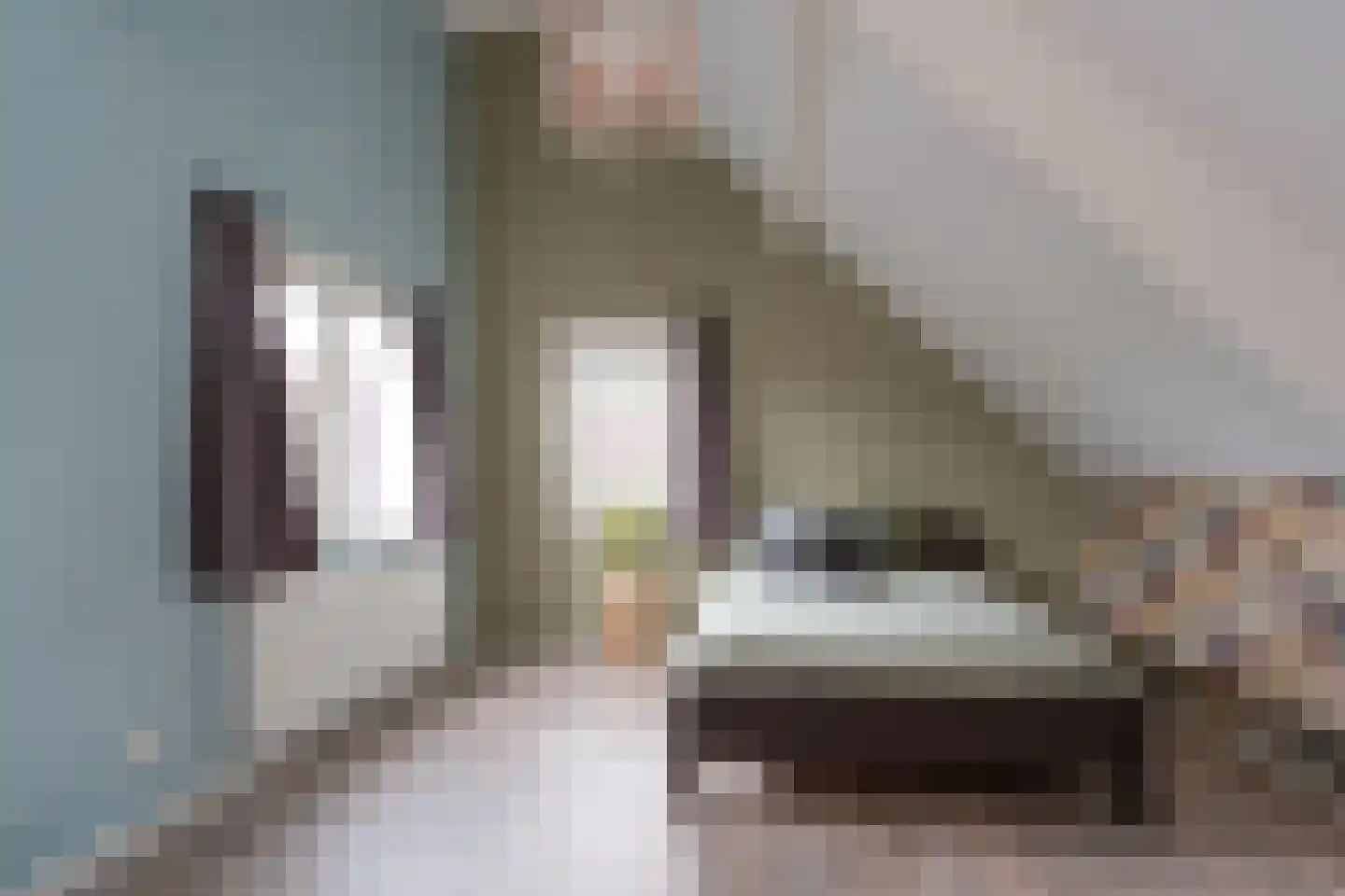 Nijreesweg 37 Almelo thumbnail 21
