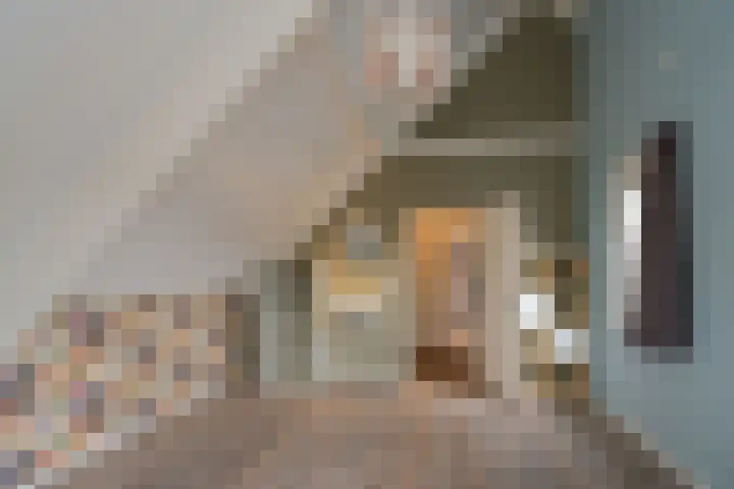 Nijreesweg 37 Almelo thumbnail 22