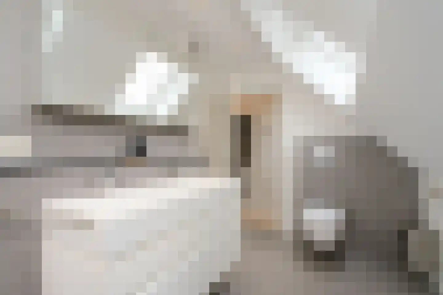 Nijreesweg 37 Almelo thumbnail 27