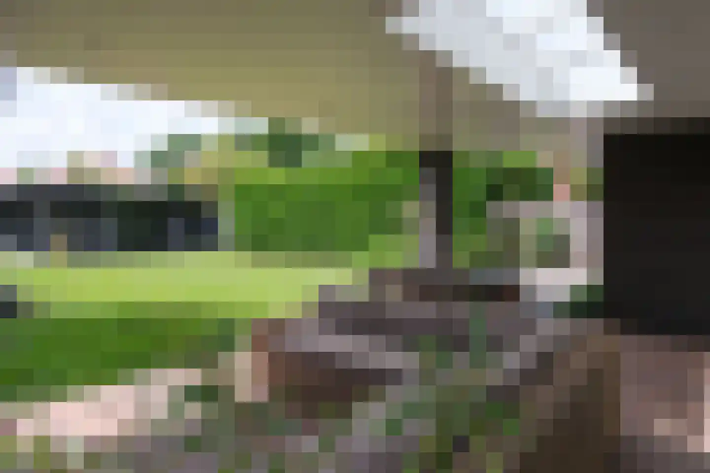Nijreesweg 37 Almelo thumbnail 29