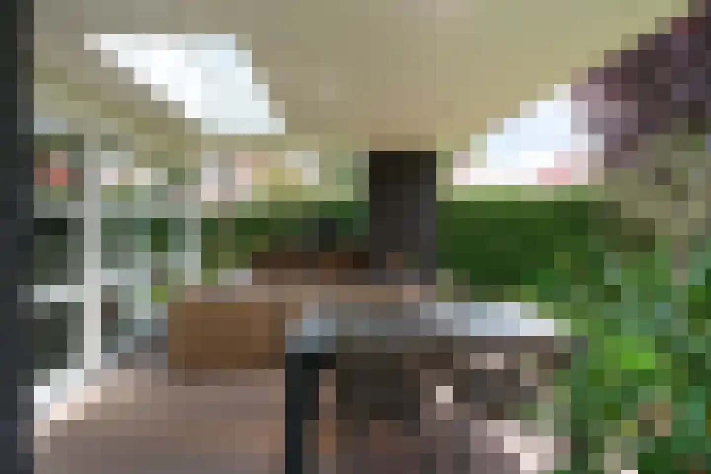 Nijreesweg 37 Almelo thumbnail 30