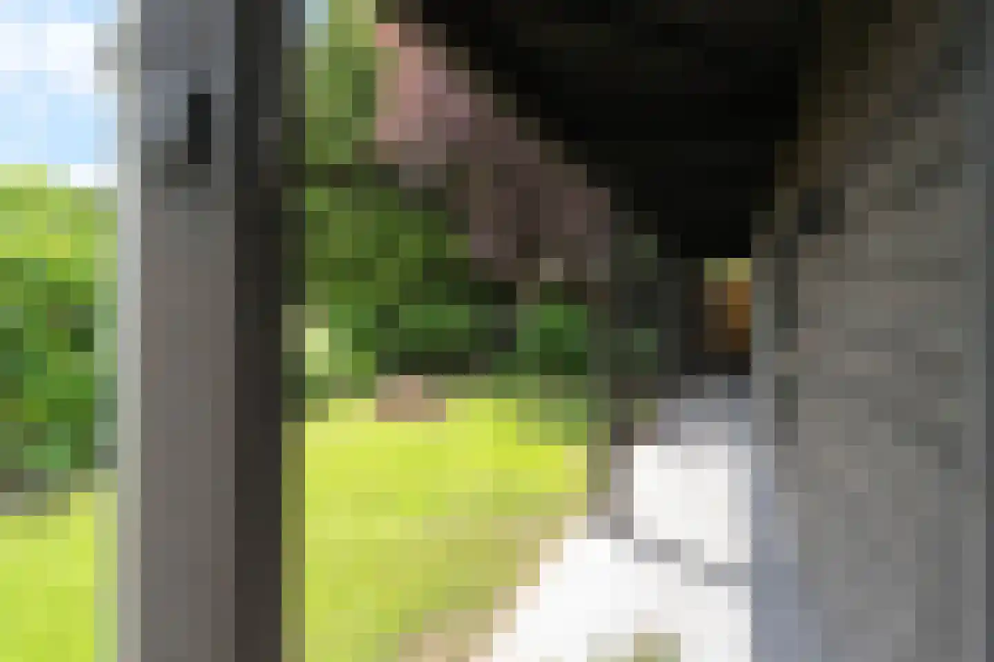 Nijreesweg 37 Almelo thumbnail 35