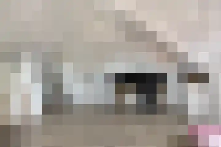 Nijreesweg 4 Almelo thumbnail 21