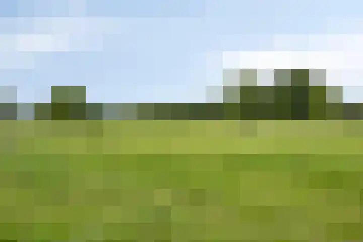 Nijreesweg 4 Almelo thumbnail 30