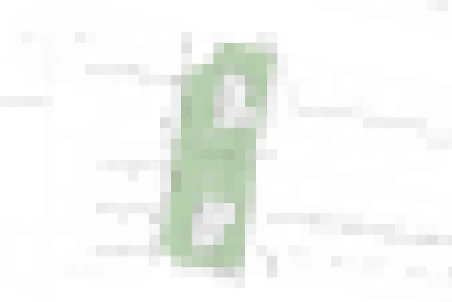 Nijreesweg 47 Almelo thumbnail 6