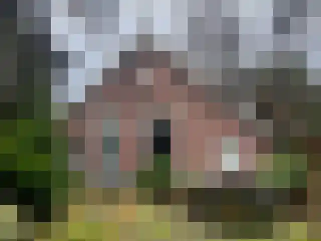 Nijreesweg 47 Almelo thumbnail 7