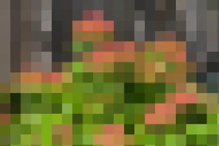 Nijreesweg 82 Almelo thumbnail 35