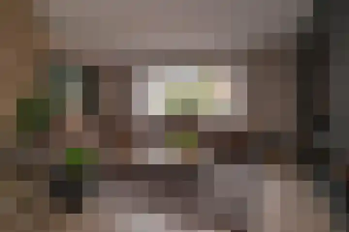Nijreesweg 82 Almelo thumbnail 6