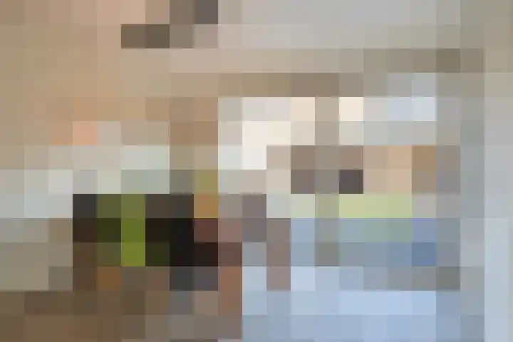 Nijslagen 2 Zuidlaren thumbnail 13