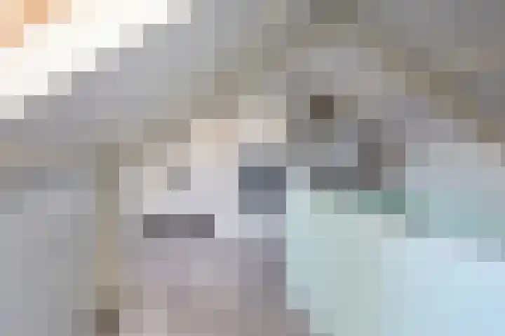 Nijslagen 2 Zuidlaren thumbnail 27