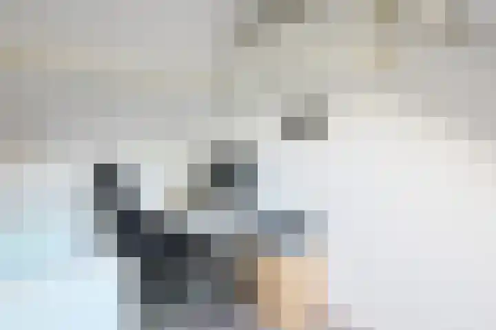 Nijslagen 2 Zuidlaren thumbnail 28
