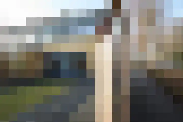 Nijslagen 2 Zuidlaren thumbnail 33