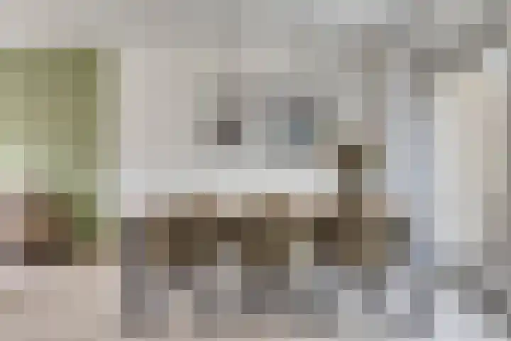 Nijslagen 25 Zuidlaren thumbnail 12