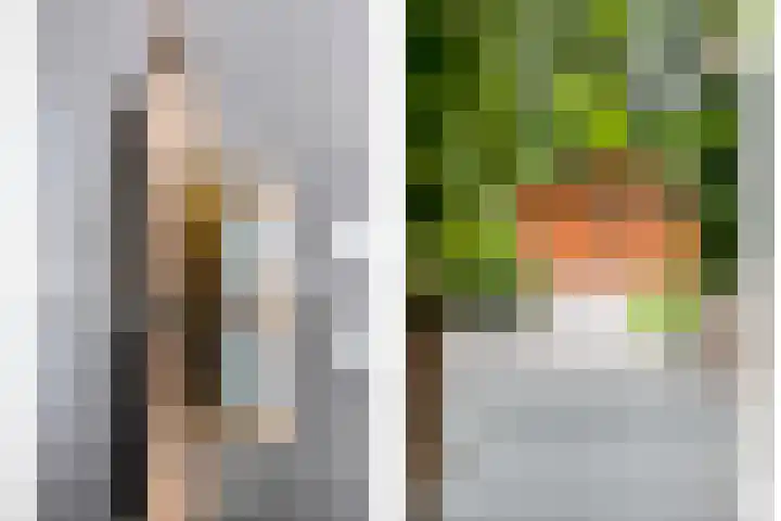 Nijslagen 25 Zuidlaren thumbnail 14