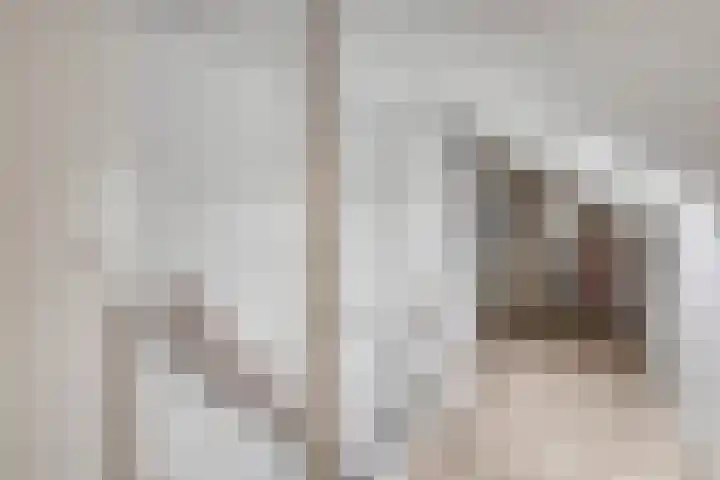 Nijslagen 25 Zuidlaren thumbnail 26
