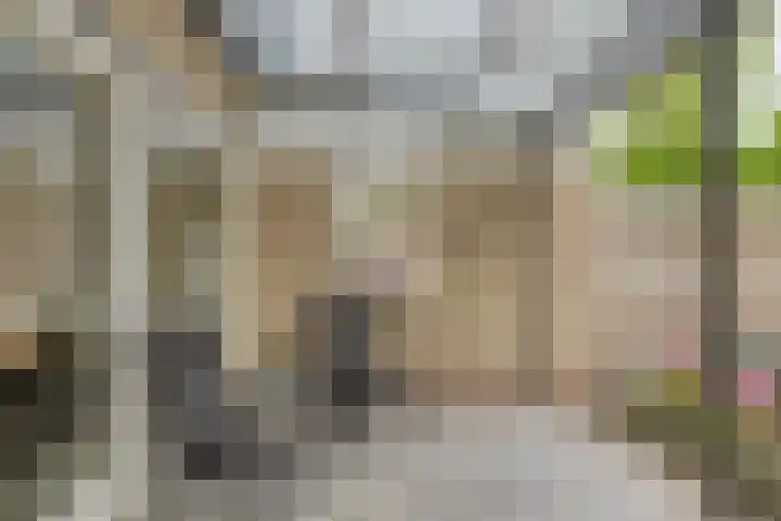 Nijslagen 25 Zuidlaren thumbnail 29