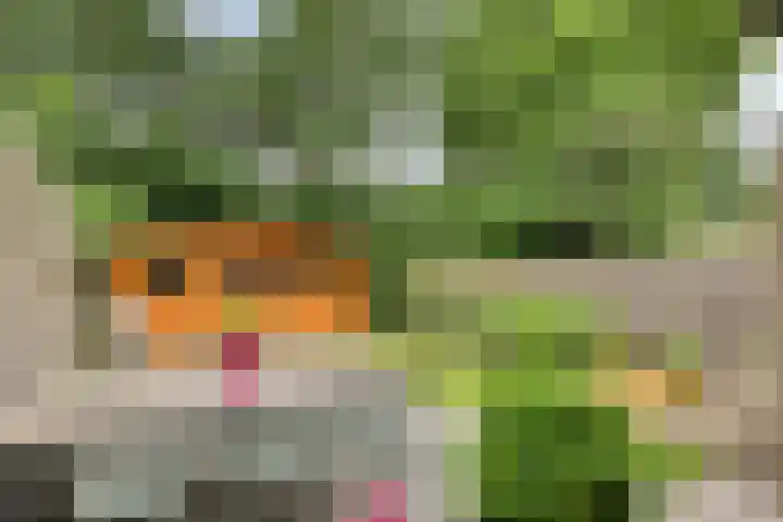 Nijslagen 25 Zuidlaren thumbnail 30