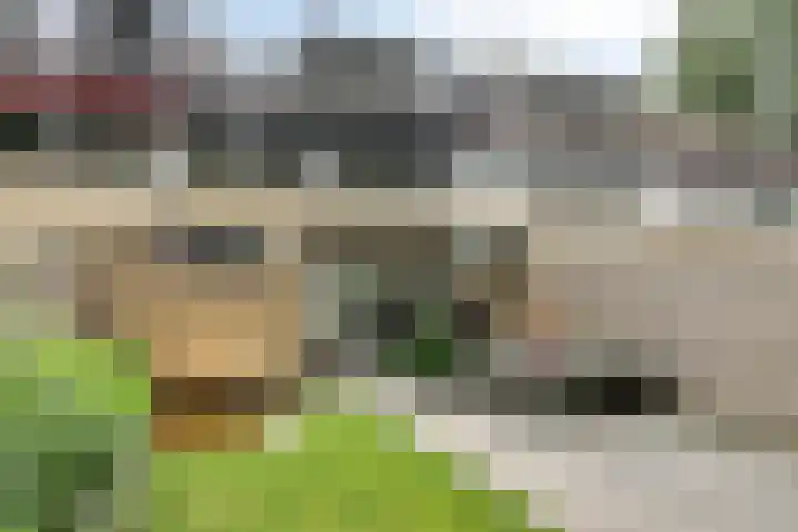 Nijslagen 25 Zuidlaren thumbnail 31