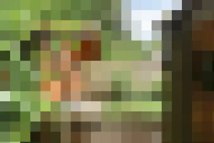 Nijslagen 25 Zuidlaren thumbnail 32