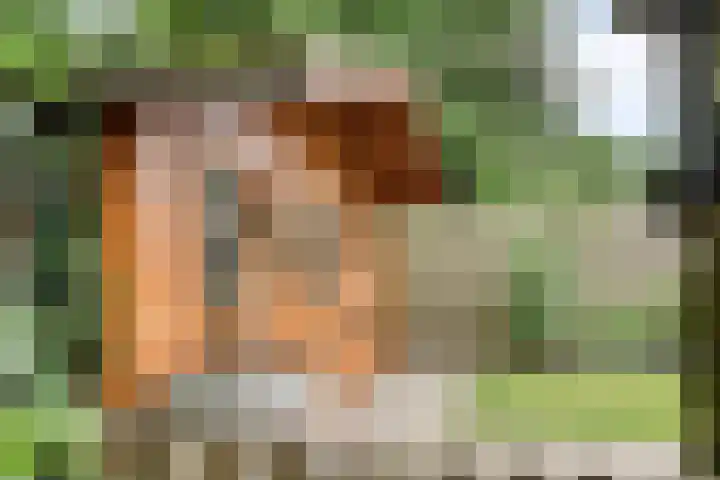 Nijslagen 25 Zuidlaren thumbnail 33