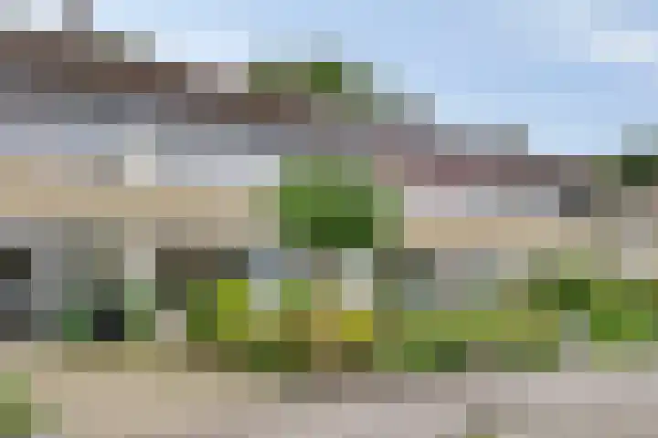 Nijslagen 25 Zuidlaren thumbnail 38