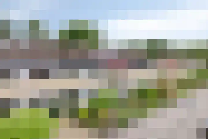 Nijslagen 25 Zuidlaren thumbnail 39