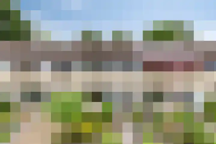 Nijslagen 25 Zuidlaren thumbnail 40