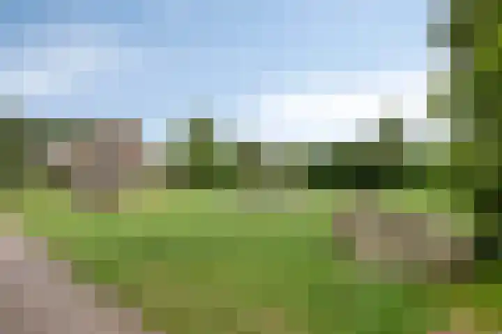 Nijslagen 25 Zuidlaren thumbnail 41