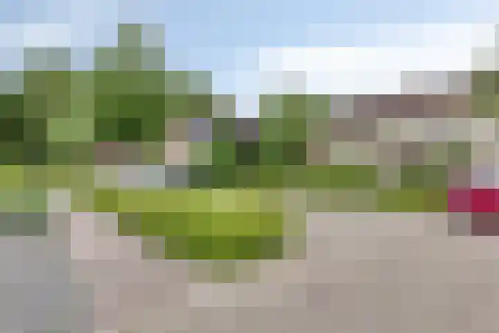Nijslagen 25 Zuidlaren thumbnail 42