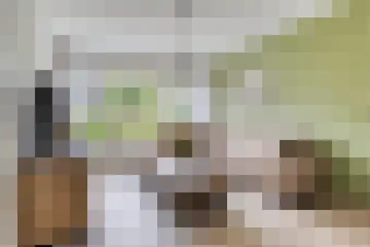 Nijslagen 25 Zuidlaren thumbnail 8