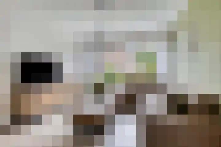 Nijslagen 25 Zuidlaren thumbnail 9