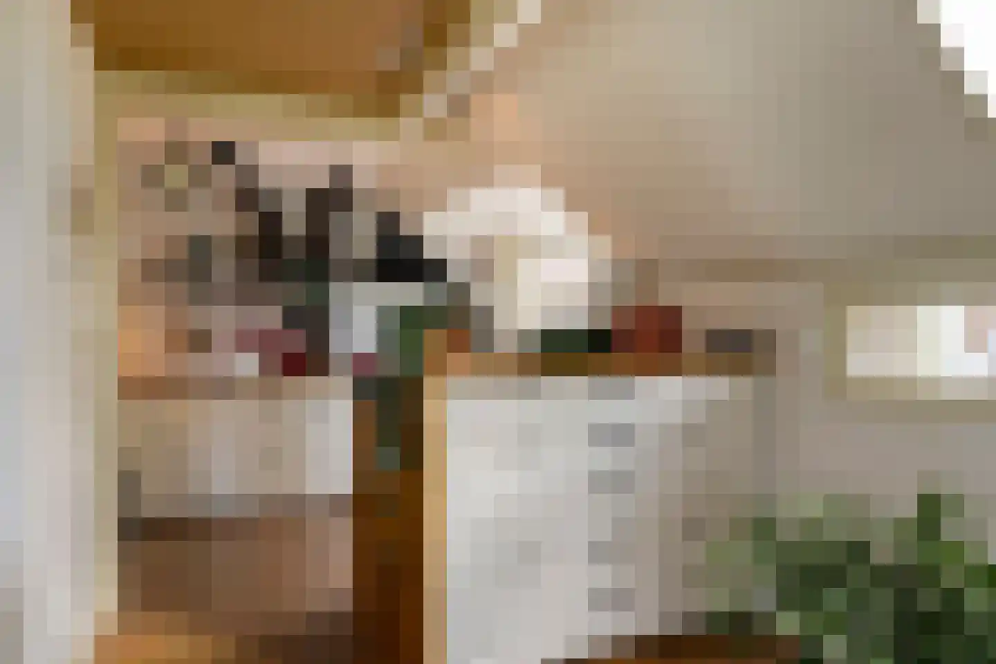 Nijstad 13 Dwingeloo thumbnail 11