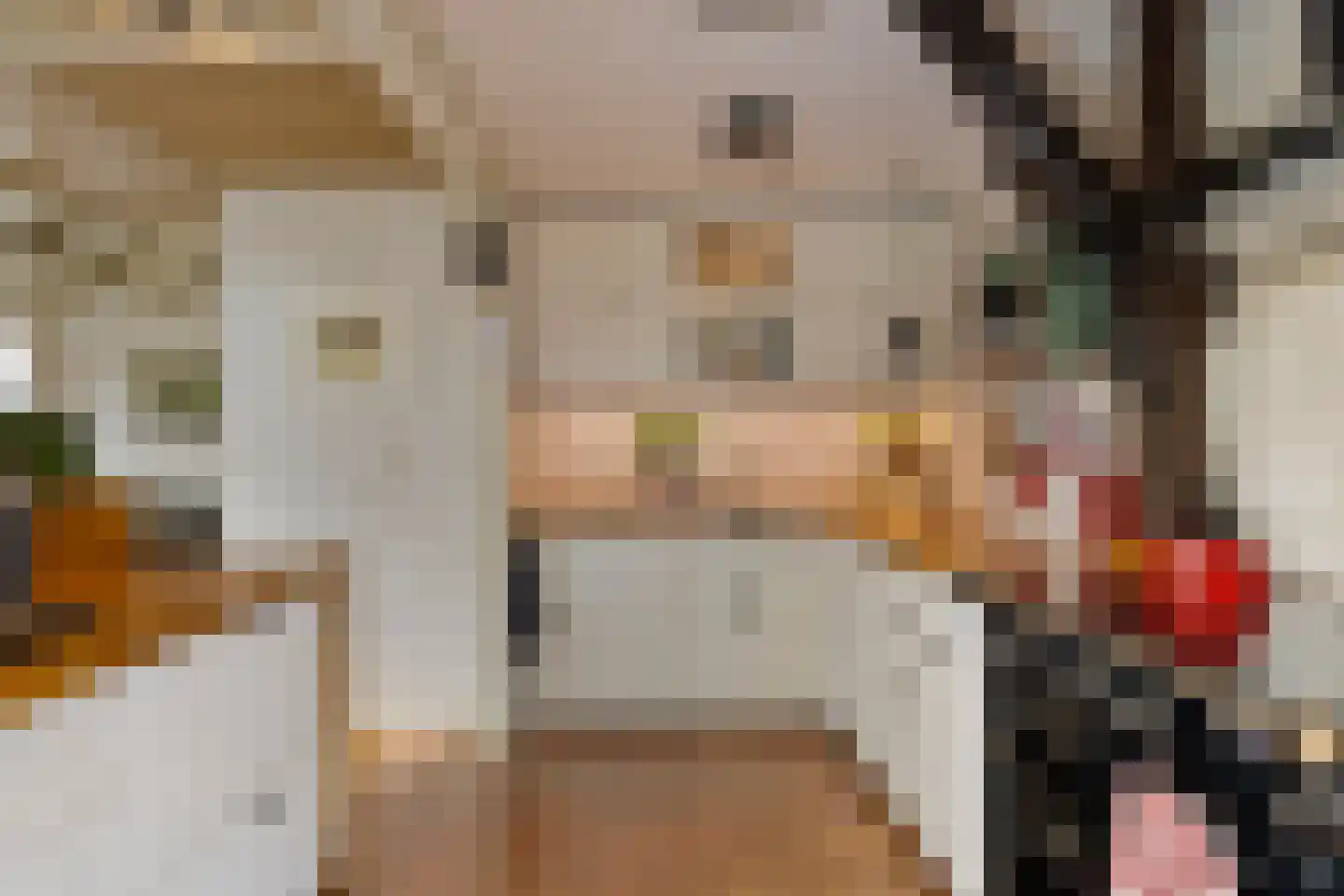 Nijstad 13 Dwingeloo thumbnail 12