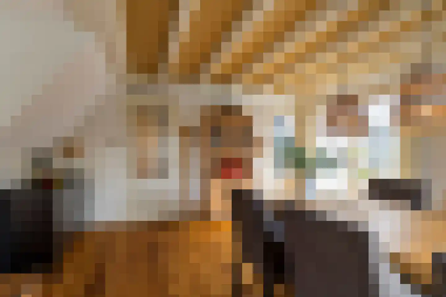 Nijstad 13 Dwingeloo thumbnail 18