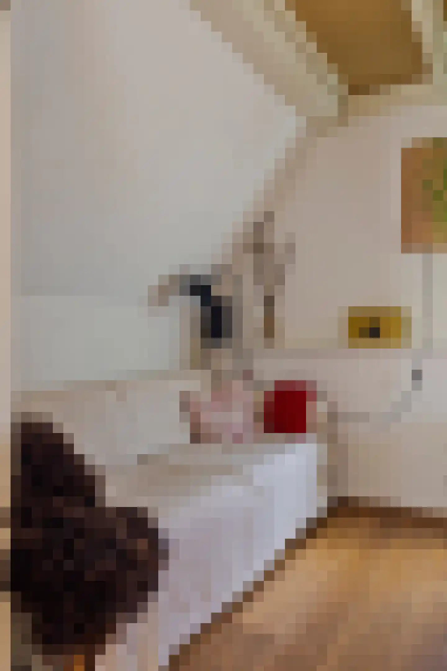 Nijstad 13 Dwingeloo thumbnail 19