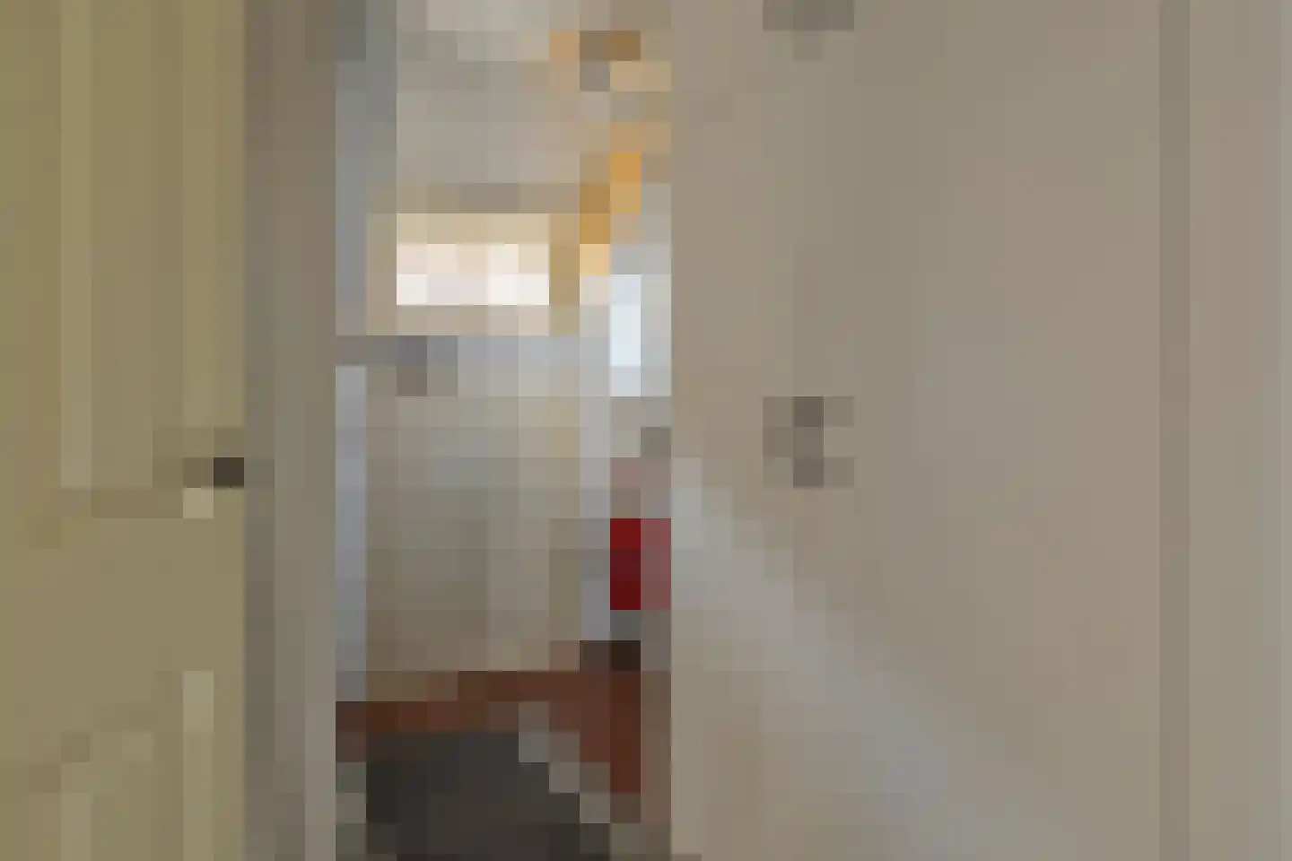 Nijstad 13 Dwingeloo thumbnail 29