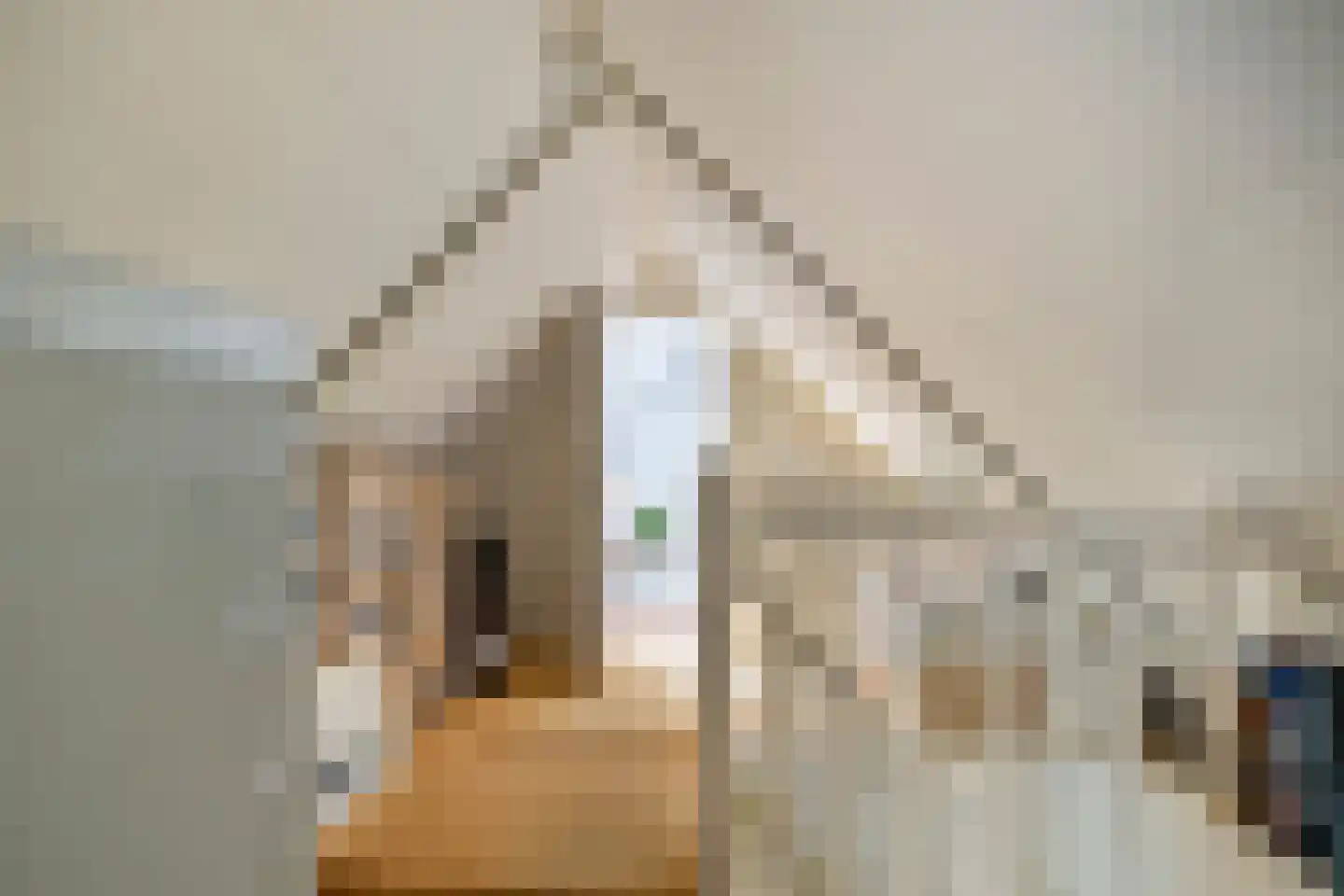 Nijstad 13 Dwingeloo thumbnail 31