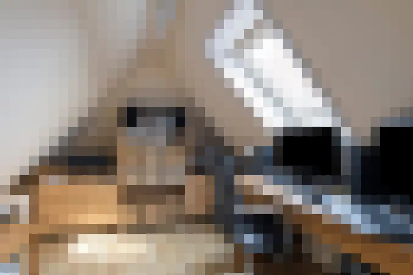 Nijstad 13 Dwingeloo thumbnail 33