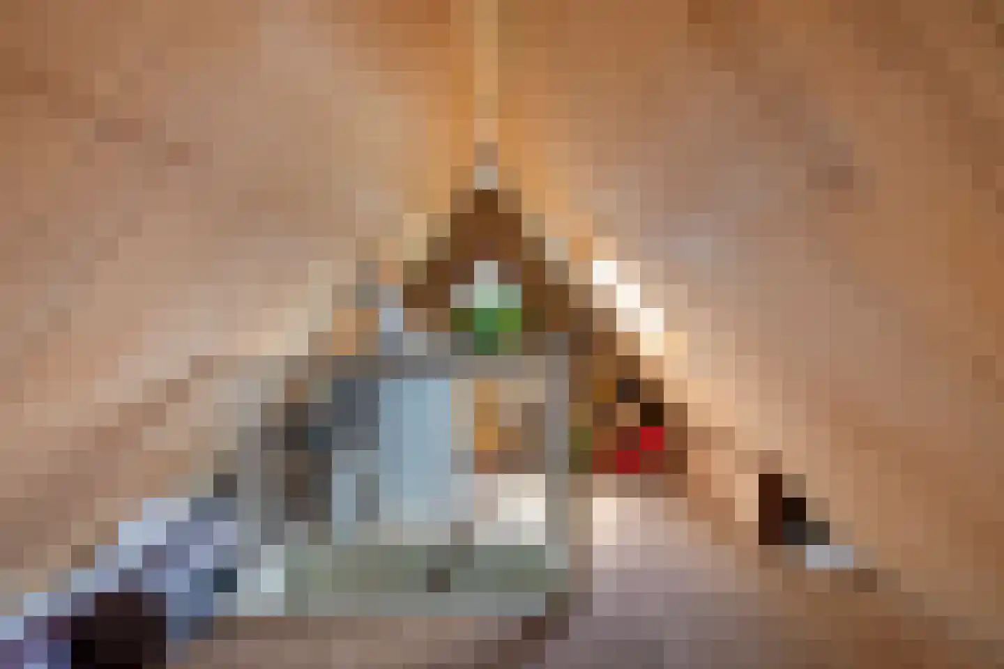 Nijstad 13 Dwingeloo thumbnail 34