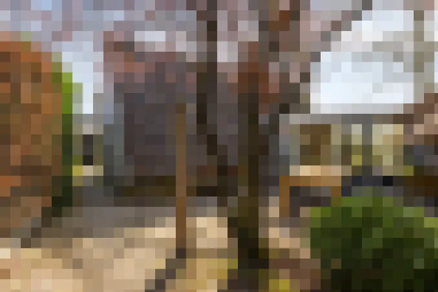Nijstad 13 Dwingeloo thumbnail 38