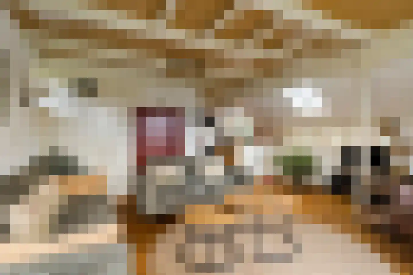 Nijstad 13 Dwingeloo thumbnail 4