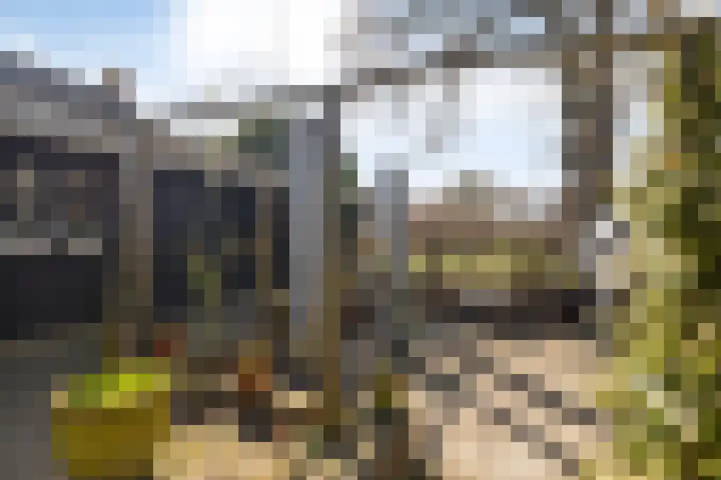 Nijstad 13 Dwingeloo thumbnail 40