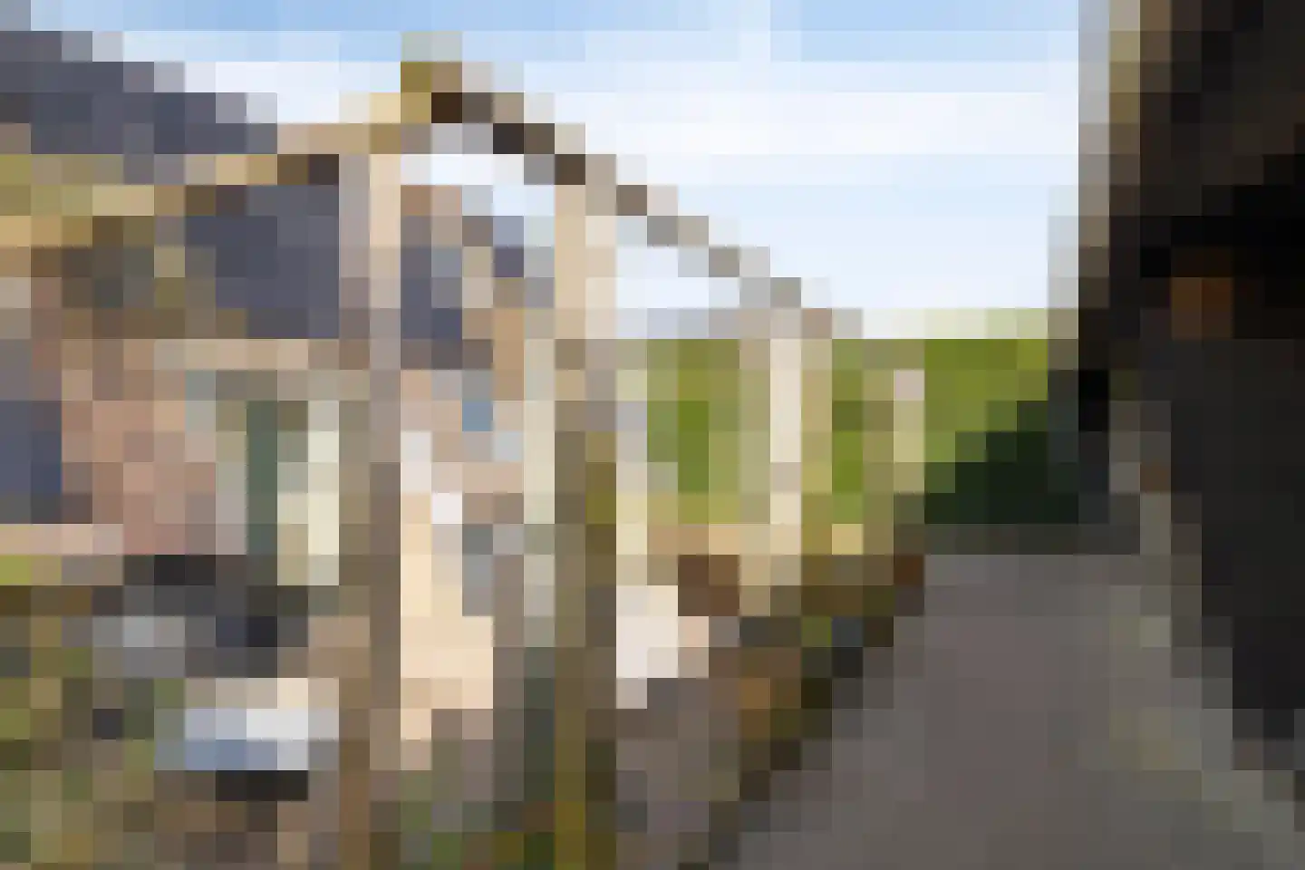 Nijstad 13 Dwingeloo thumbnail 43