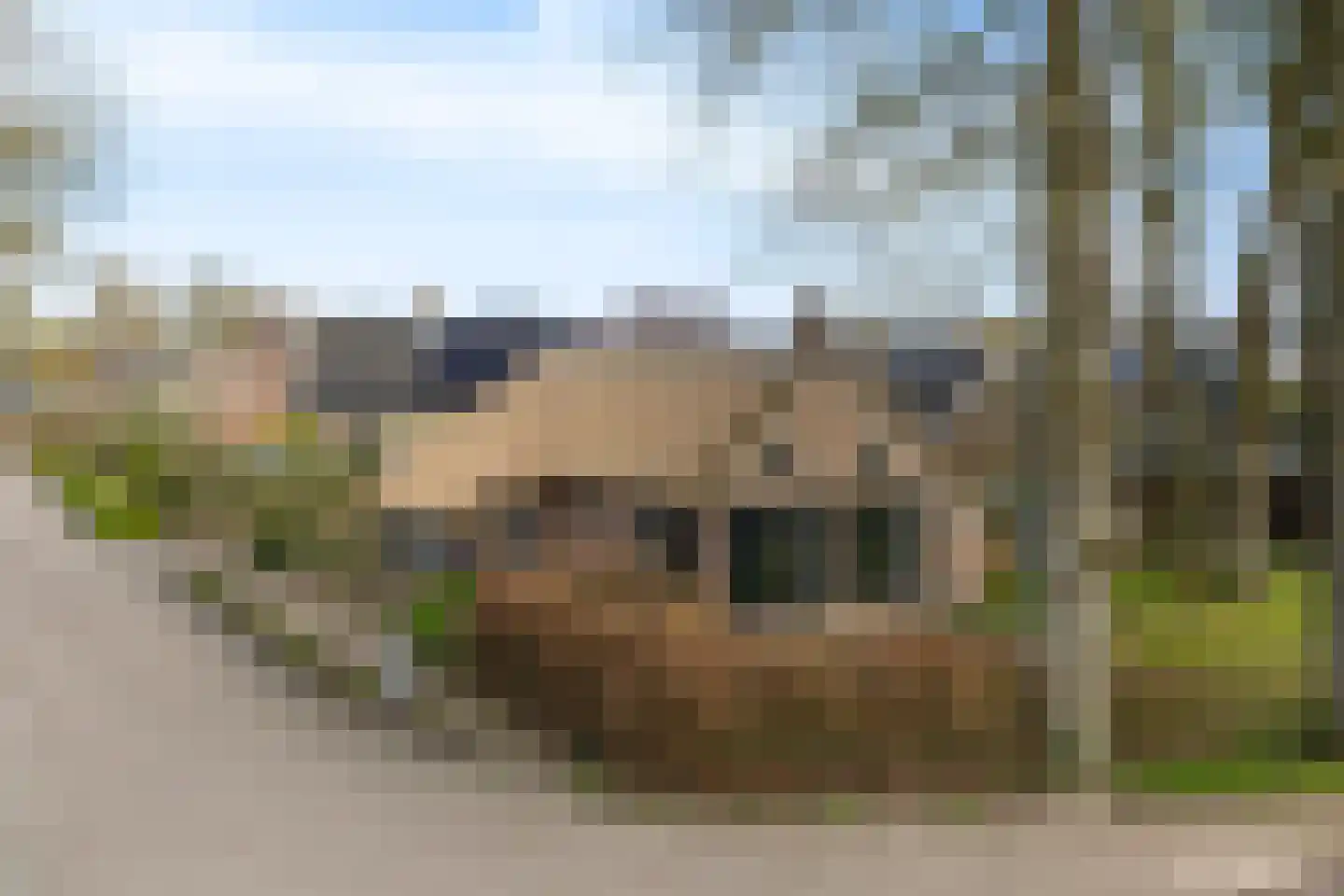 Nijstad 13 Dwingeloo thumbnail 46