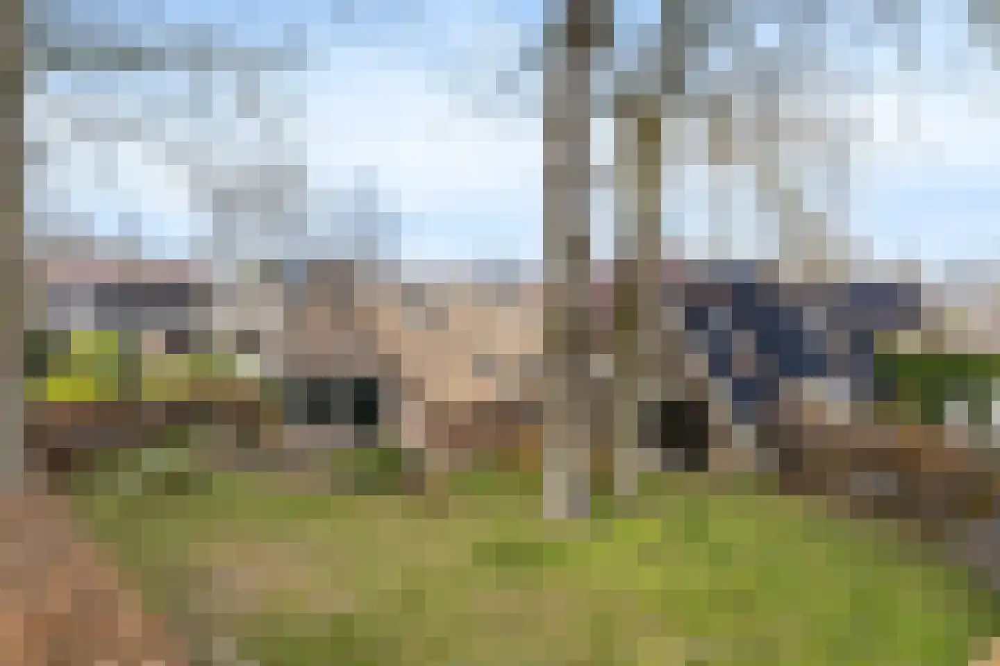 Nijstad 13 Dwingeloo thumbnail 47